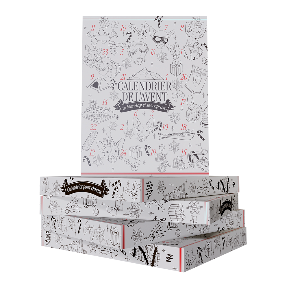Pack Calendrier de l’Avent d’Oli (chocolats) + Planche de stickers